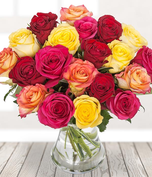 Colourful Roses