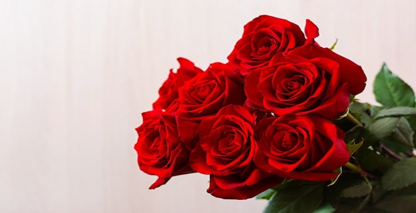 Rose Day Gift Ideas-Shower Some Love With Roses On Your Loved Ones