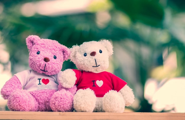 Image result for teddy-day-2021-know-the-significance-and-which-colour-teddy-gift-your-loved-ones