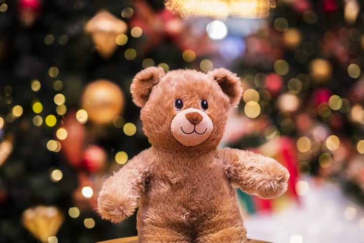 Teddy Day Ideas