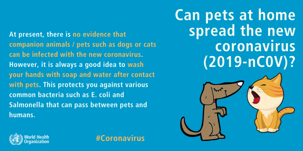 Effects Of Coronavirus