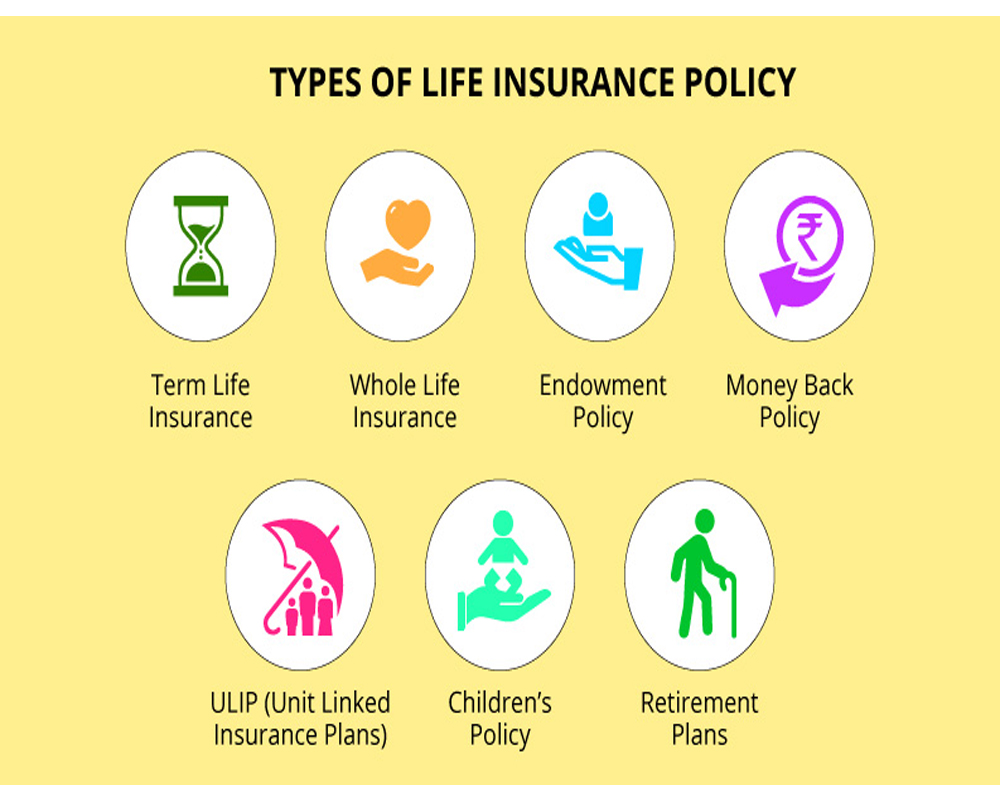 Different Types Of Life Insurance Chart