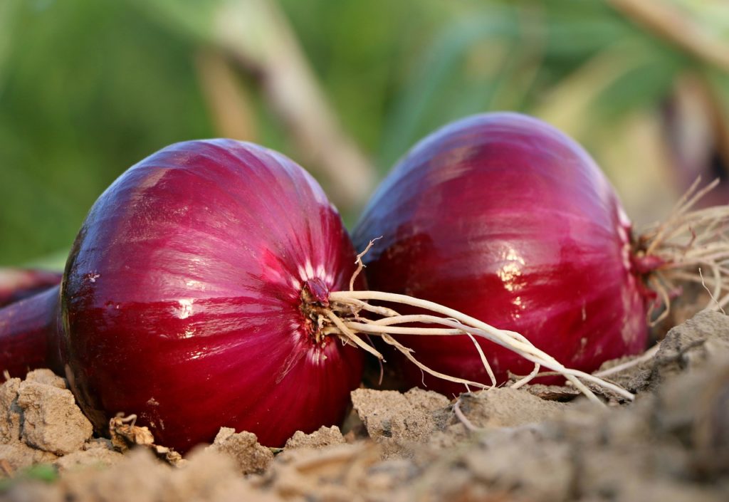 Onion Home Remedies For Hair Fall