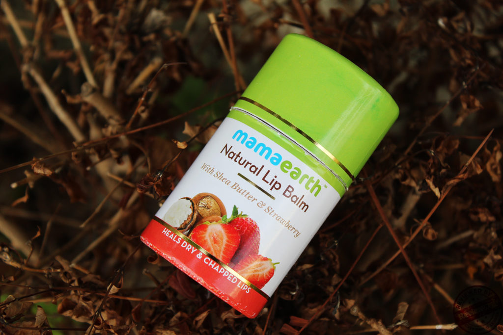 MamaEarth Product Reviews: MamaEarth Lip Balm