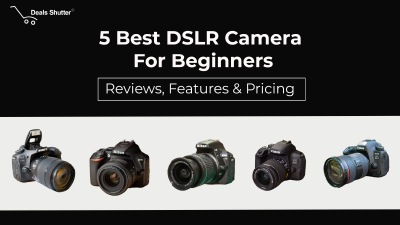 best dslr camera for beginners
