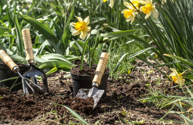 Gardening Spades