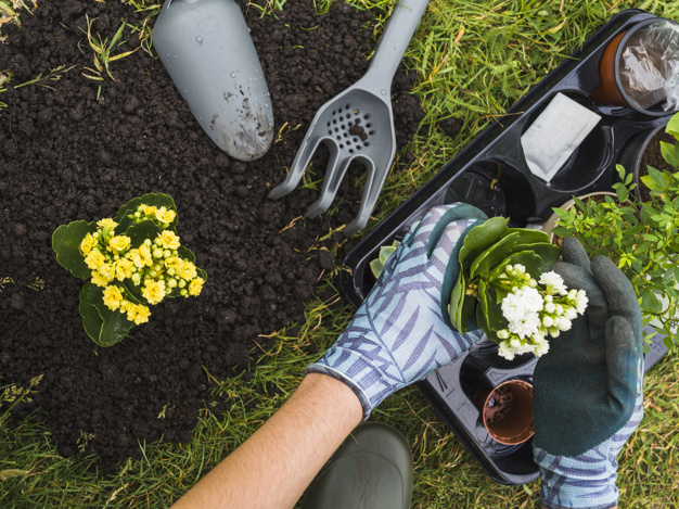 Gardening Forks