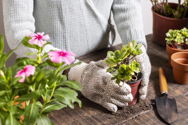 Best Gardening Gloves