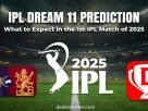 IPL dream 11 Prediction