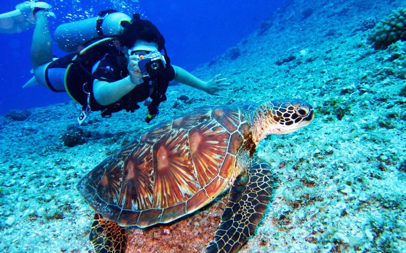 Scuba diving in Goa